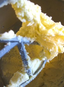 cupcakes 0051 (Large)