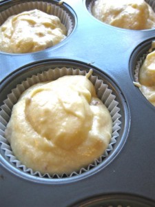 cupcakes 0151 (Large)