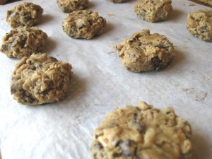 peanøttsmørsjokoladecookie 007m (Large)