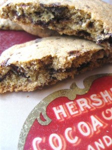 sjokoladecookies 012m (Large)