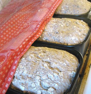 Grovbrød 008m (Large)