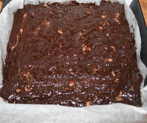 brownie 033m (Large)