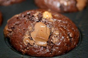 Store Sjokolade muffins 041m (Large)