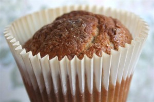 muffins 290311 071m (Large)
